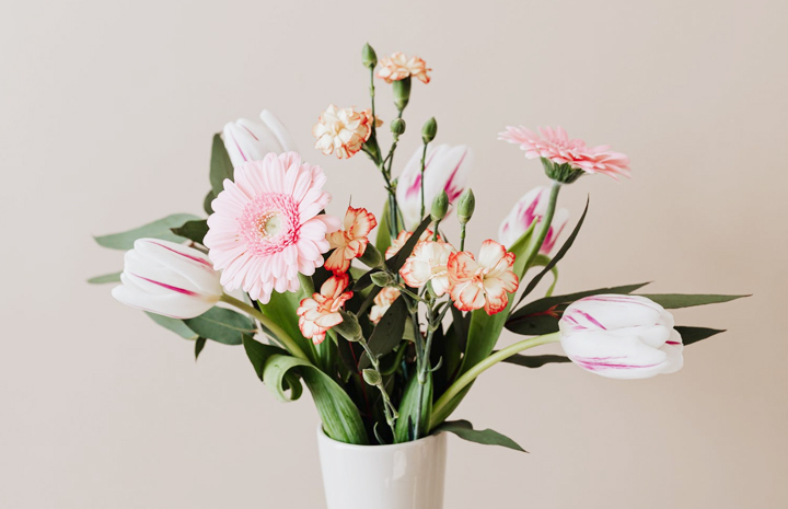 廣州好采景天園藝有限公司